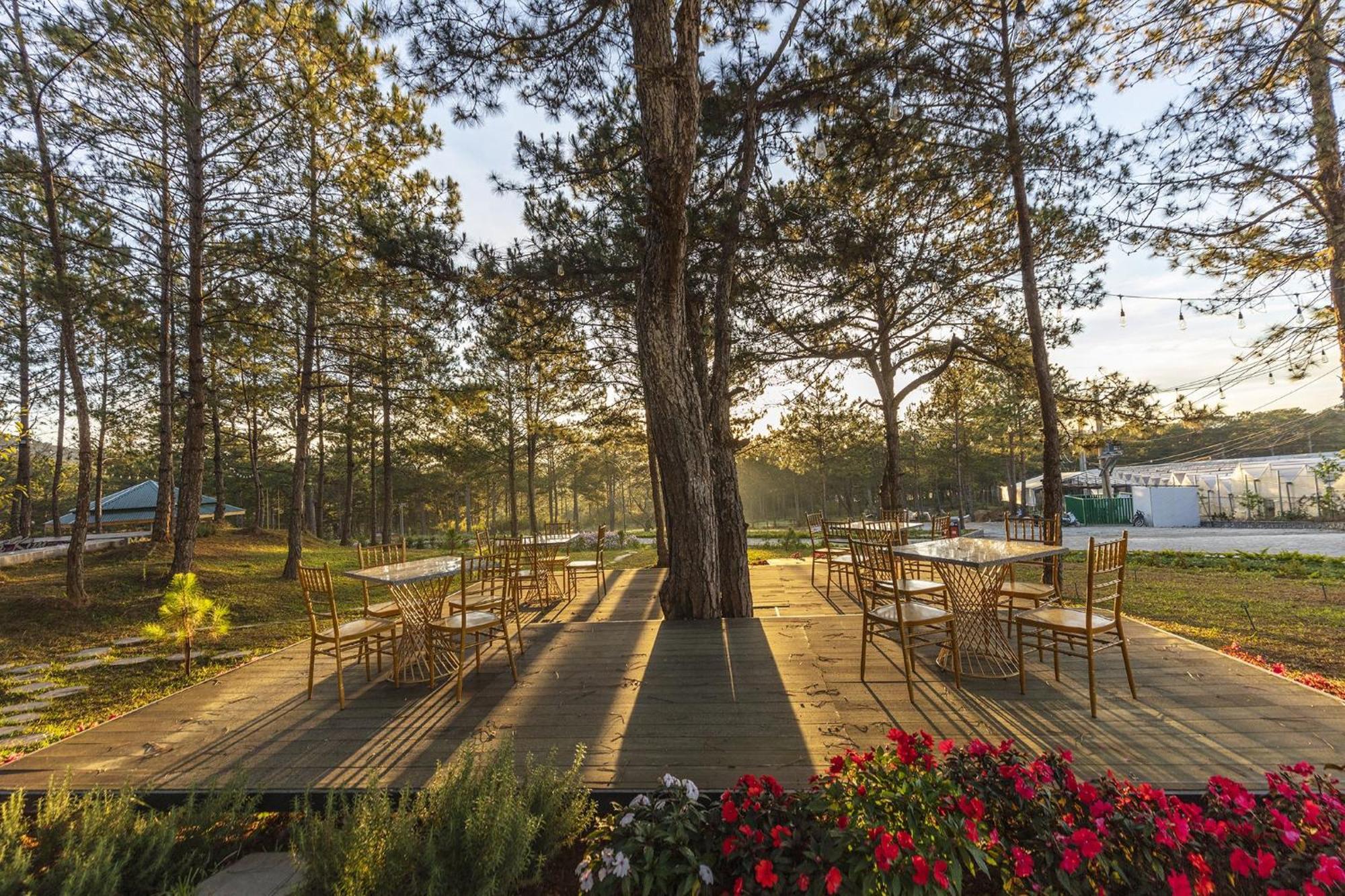 Kim Resort - Khu Nghi Duong Rung La Kim 大叻 外观 照片