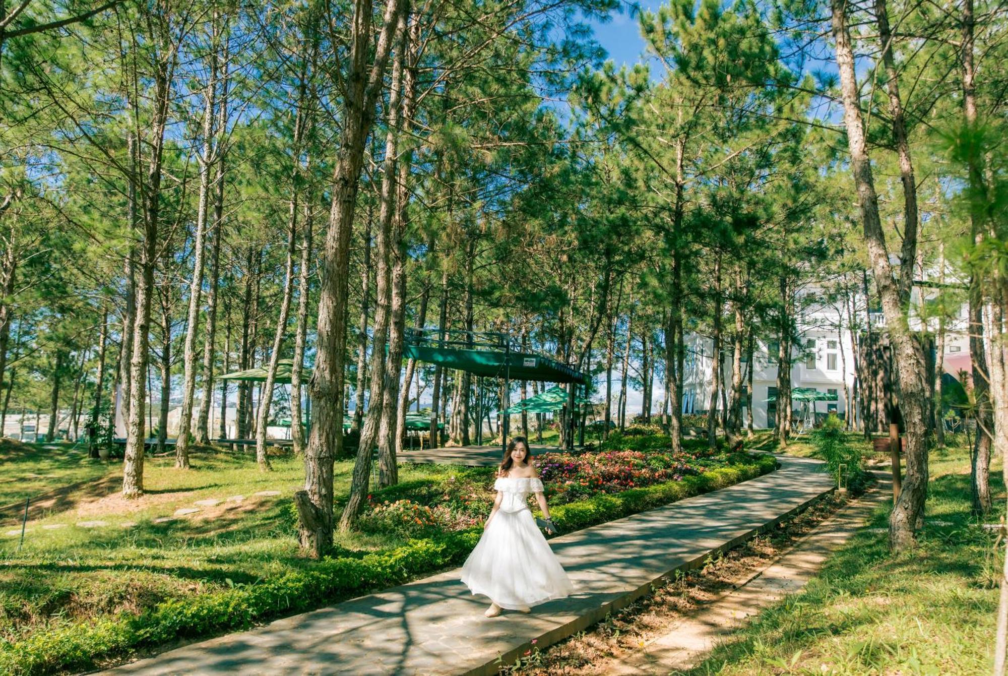 Kim Resort - Khu Nghi Duong Rung La Kim 大叻 外观 照片